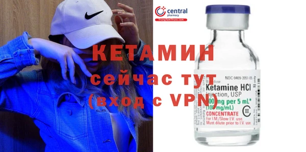 дживик Няндома