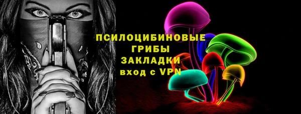 соль ск Арсеньев