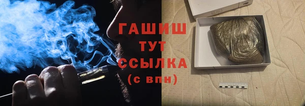дживик Няндома