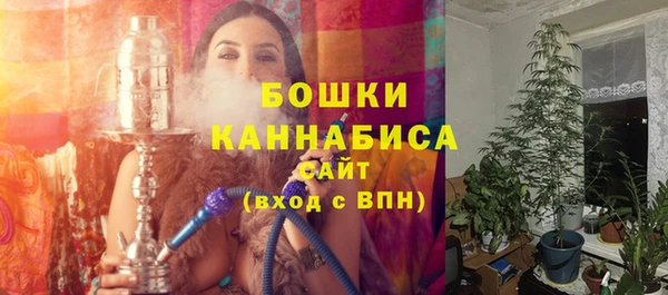 соль ск Арсеньев