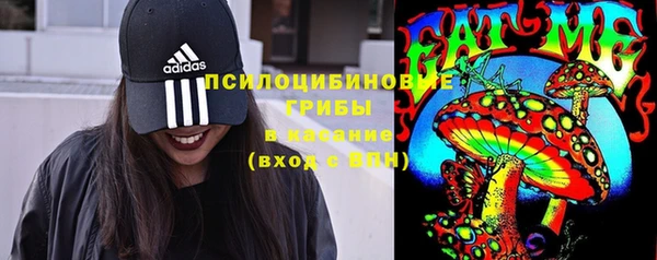 прущая мука Армянск