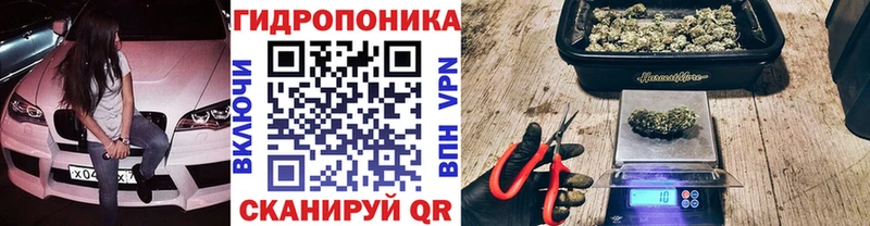 МАРИХУАНА гибрид  Купить  Белоярский 